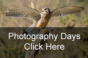 Photography Days